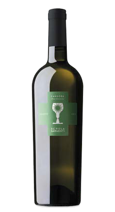 Flasche Candòra
